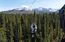 Denali Park Zipline Adventure: Denali's Highest Rated Zip Tour!