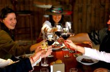 Maipo Valley Wine Tour: 4 Wineries, Great Views, Fun Tastings