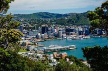 Discover Wellington 3 hour City Tour
