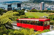 Discover Wellington 3 hour City Tour