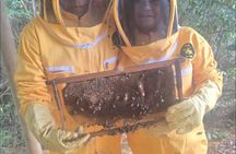 Tours Of Honey and Bees