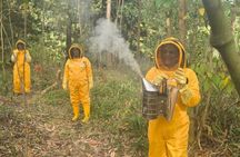 Tours Of Honey and Bees