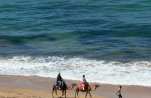 Tangier Shared Tour Cap Spartel,Hercules Caves and Camel Ride