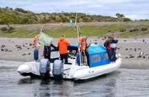 Full Day Almanza and Beagle Channel: A Unique Encounter with Penguins