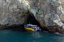 Maria Island Cruise & Walk Day Tour with Lunch (from Hobart)