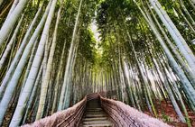 Kyoto Private Tour with Licensed Guide: 100% Customizable