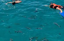 Snorkeling Catamaran Tour at Santa Maria Bay