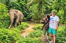 Khao Lak Elephant Sanctuary Small-Group Guided Tour