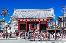Tokyo Private Tour by Car with English-Speaking Driver