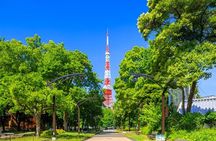 Tokyo Private Tour by Car with English-Speaking Driver