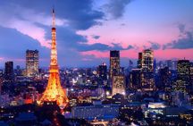 Tokyo Private Tour by Car with English-Speaking Driver
