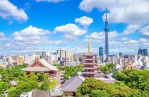 Tokyo Private Tour by Car with English-Speaking Driver