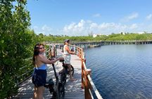 Cancun E-Bike Tour - Glide Through Palm Paradise #1 Tour 1.5hr