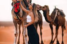 Marrakech: Agafay Desert Sunset to Stars, Camel Ride, Dinner Show