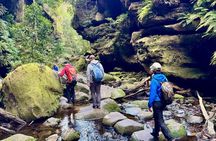 Canyons to Kangaroos: Private Blue Mountains Full Day Tour