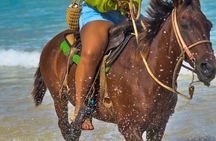 Beach & Paradise: Punta Cana Horseback Riding Adventure