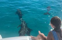 Providenciales Private Boat Tour: Snorkeling & Island Hopping