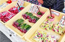 Takayama Private Custom Tour with Local Guide