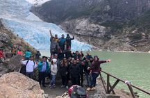Balmaceda and Serrano Glaciers Cruise from Puerto Natales