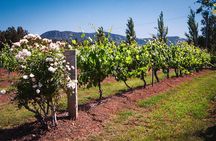 Private Hunter Valley Tour in a Luxury Mercedes