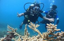 Scuba Diving in Havelock: Beginner Boat Dive, Choose Your Reef