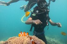 Scuba Diving in Havelock: Beginner Boat Dive, Choose Your Reef