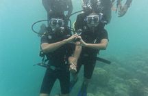 Scuba Diving in Havelock: Beginner Boat Dive, Choose Your Reef