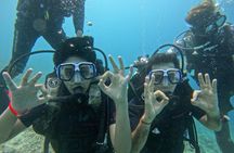 Scuba Diving in Havelock: Beginner Boat Dive, Choose Your Reef