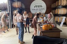 Private Full Day Wine Tour in Fredericksburg