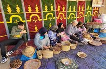 Private Guided Day Trip to Ourika Waterfalls & Atlas Mountains