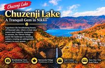 From Tokyo: Nikko Toshogu Shrine and Kegon Waterfall Tour