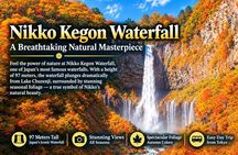 From Tokyo: Nikko Toshogu Shrine and Kegon Waterfall Tour