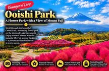 Mount Fuji Full Day Sightseeing Tour from Tokyo