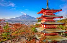 Mount Fuji Full Day Sightseeing Tour from Tokyo