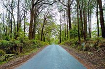 Southern Highlands Wine Tour by Luxury Mercedes