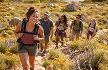 Private Malibu Waterfall Hike & Pacific Coast Drive