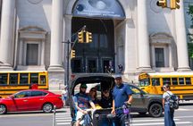 Central Park Pedicab Tour with Natural History Museum Access