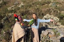 Shamanic Energy Healing