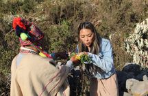 Shamanic Energy Healing