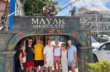 Customizable Roatán Private Tour: Rum, Chocolate & Island Culture