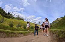 Cocora Valley + Traditional Coffee & Salento