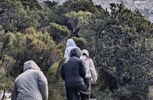 Cradle Mountain Day Trip from Hobart with Scenic Stops
