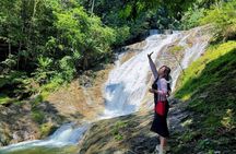 Cameron Highlands with Lunch Guided Day Tour (SIC/Shared Tour)