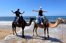 All Inclusive Luxury Tangier Day Trip from Cadiz