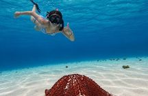 Cozumel Three Reefs Snorkel Tour +Beer, Drinks, Glass bottom boat