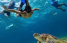 Cozumel Three Reefs Snorkel Tour +Beer, Drinks, Glass bottom boat