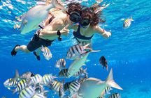 Cozumel Three Reefs Snorkel Tour +Beer, Drinks, Glass bottom boat