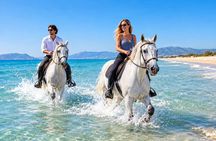 Bodrum: Beach Horseback Riding with Sunset Option