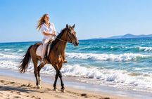 Bodrum: Beach Horseback Riding with Sunset Option