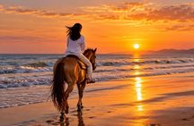 Bodrum: Beach Horseback Riding with Sunset Option